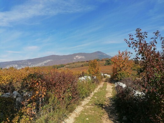 Panorami monte Solane sullo sfondo il Monte Pastello