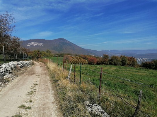 Monte Pastello