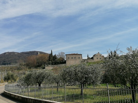 Castel visto salendo da Vigolo