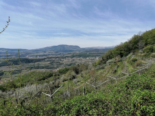 Panorami da Colombare di Villa sullo sfondo Il Monte Pastello