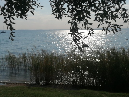 Lago di Garda riflessi