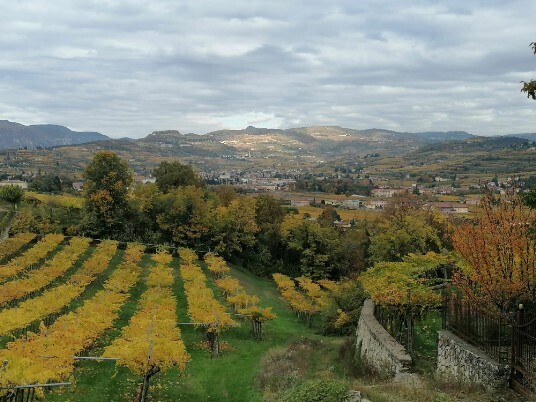 Panorami Cengia Castelrotto