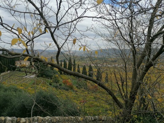 Panorami da Castelrotto