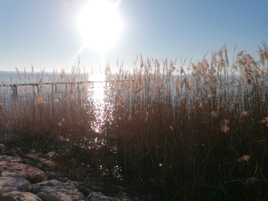 cannetto e riflessi luce lago di Garda