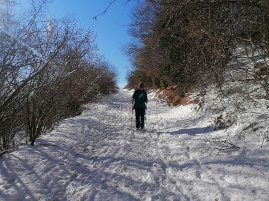 Neve sentiero Tommasi -Grola