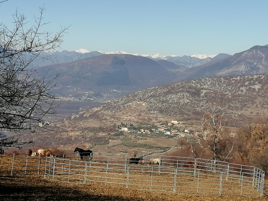 panorami dalla dorsale Monte Solane sfondo Monte Baldo