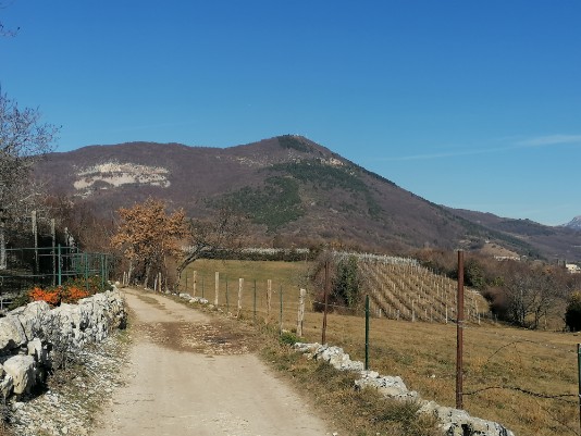 Monte Solane discesa per Vecchia Chiesa di Cavalo di fronte il Monte Pastello