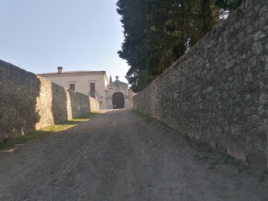  Villa del Bene e cipresso centenario