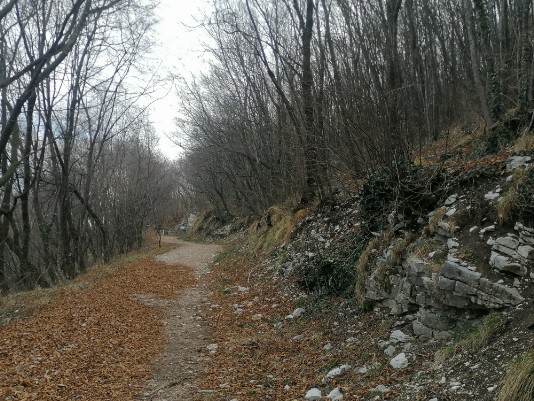 sentiero Monte Cimo