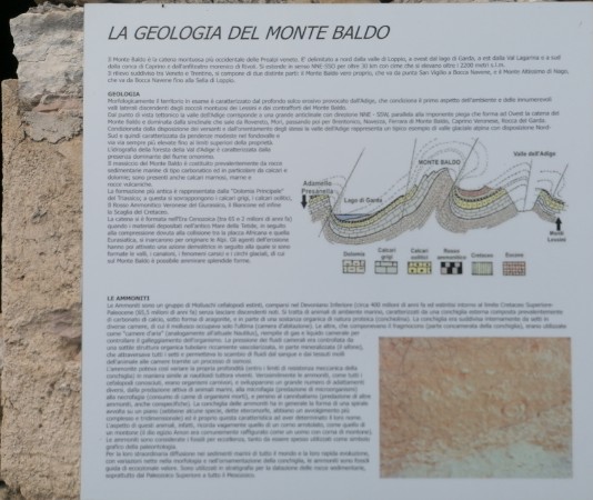 Tabella La Geologia del Monte Baldo
