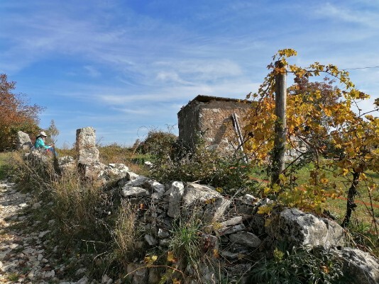 Monte Pastello stradina particolarità Monte Pastello stradina particolarità