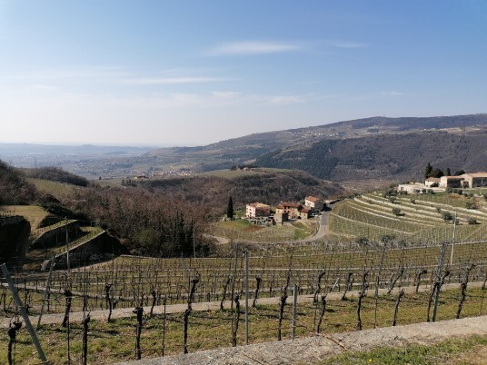 Panorami su Zeviana e Gazzo da Bivio Crosetta/ Purano Panorami su Zeviana e Gazzo da Bivio Crosetta/ Purano