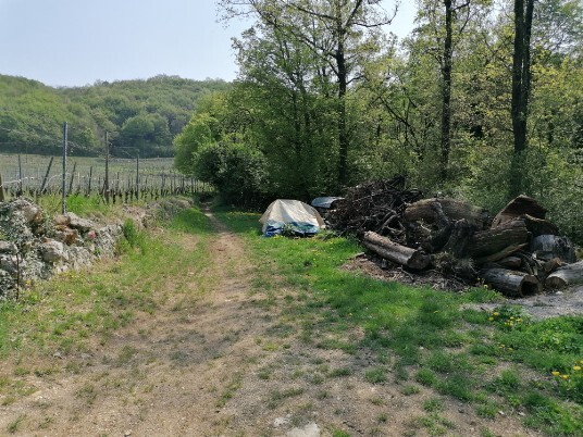 sentiero in direzione Campi di Sopra sentiero in direzione Campi di Sopra