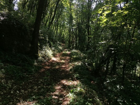 sentiero Sorasengi in ombra per fortuna sentiero Sorasengi in ombra per fortuna